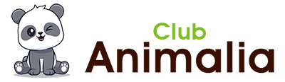 Club Animalia