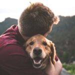 Bigotes y colas que se mueven: navegando  por el mundo de las razas de perros y gatos