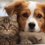 Los animales que pueden resolver problemas: ¿cómo lo hacen y por qué?