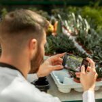 Cómo alimentar a tu pez de forma adecuada: los tipos de comida y las cantidades