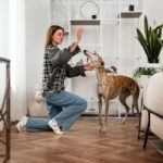 Cómo reconocer y tratar la ansiedad en las mascotas