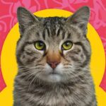 Mascotas y la armonía del hogar: lecciones vitales y desafíos