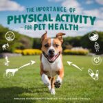La inteligencia animal: sorprendentes habilidades de nuestros compañeros