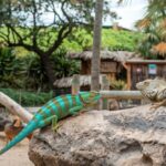 La biodiversidad en peligro: especies amenazadas que debemos proteger
