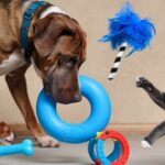 Estrés: El estrés en mascotas: Síntomas y tratamiento