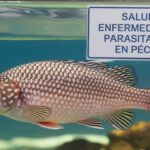 Salud: hibernación en reptiles: ¿es necesaria?