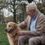 Guía de viaje: las mejores ciudades del mundo para los amantes de los animales