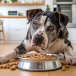 Introducción de una mascota en un hogar con bebés: lo que debes saber