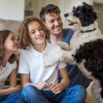 Historias inspiradoras de rescate y adopción animal: transformando vidas, un hogar a la vez