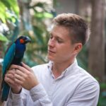 Peces tropicales: colores que transforman tu espacio