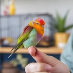 El papel de los animales en la ciencia y medicina