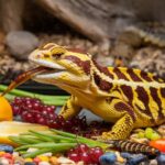 Peces de agua salada vs. agua dulce: Descubre cuál es mejor para ti