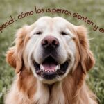 Gatos y niños: forjando una amistad segura y duradera