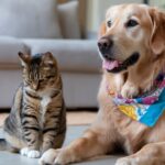 Ejercicio perfecto para cada mascota: guía para cuidadores dedicados