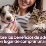 Cómo identificar las alergias en tus mascotas: Una guía esencial