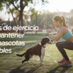 Camaleones: mitos y realidades de una especie fascinante